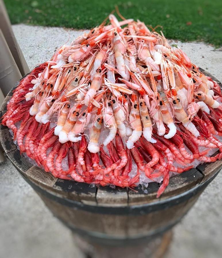 فندق بورجو رونشيتو روليه جورمو Salgareda المظهر الخارجي الصورة